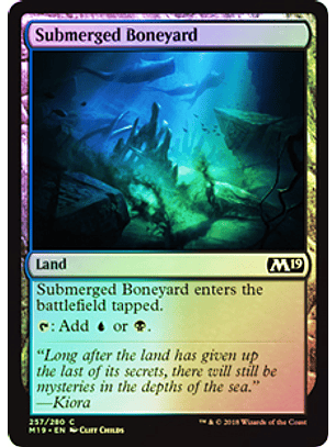 Submerged Boneyard - M19 - C ★