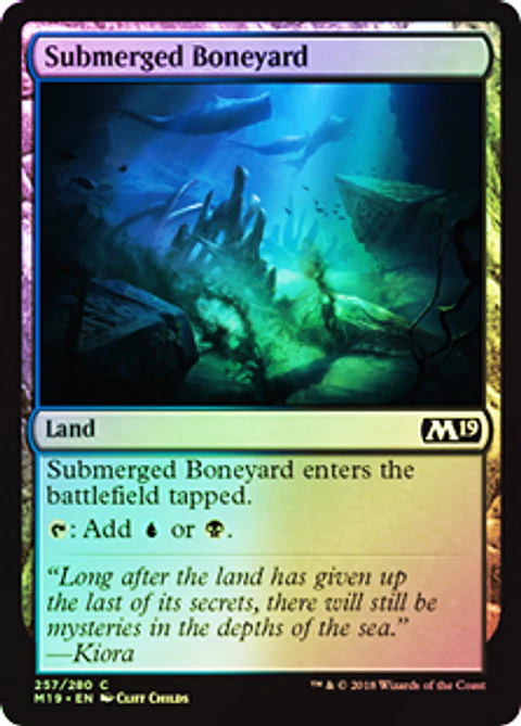 Submerged Boneyard - M19 - C ★