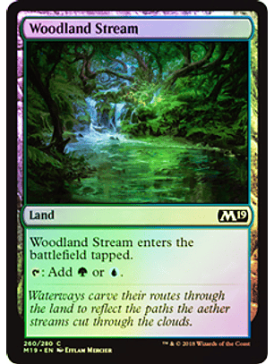 Woodland Stream - M19 - C ★