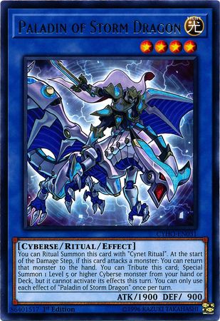 Paladin of Storm Dragon - CYHO-EN031 - Rare 1