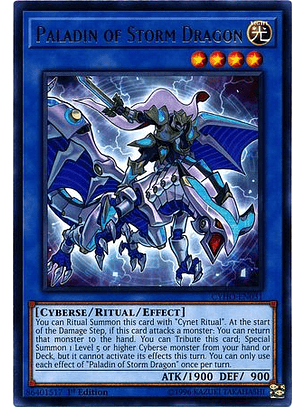 Paladin of Storm Dragon - CYHO-EN031 - Rare