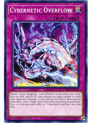 Cybernetic Overflow - CYHO-EN073 - Common