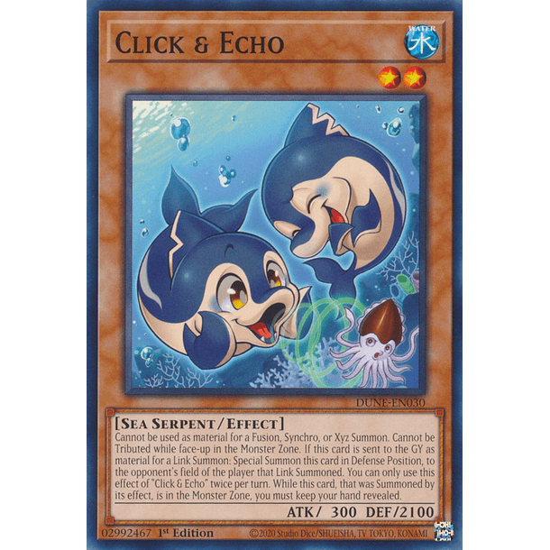 Click & Echo - DUNE-EN030 - Common 
