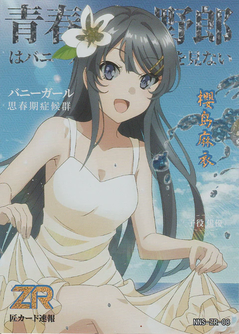 Mai Sakurajima - NNS-ZR-08 - ZR 