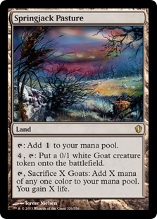 Springjack Pasture - C13 - R 1