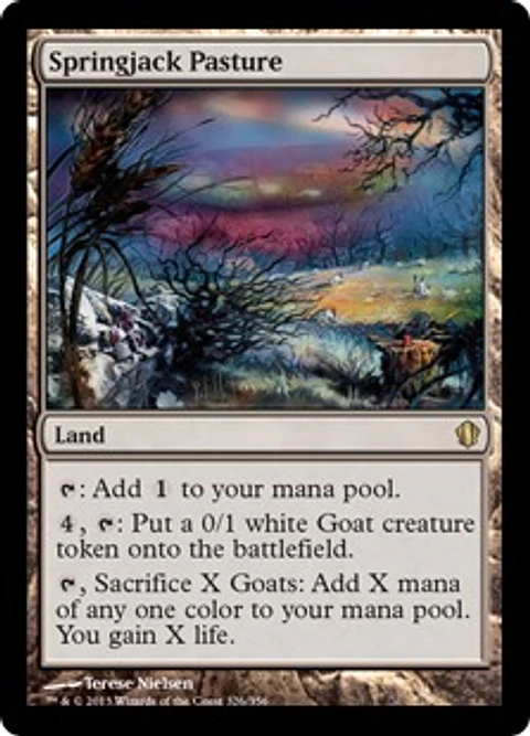 Springjack Pasture - C13 - R