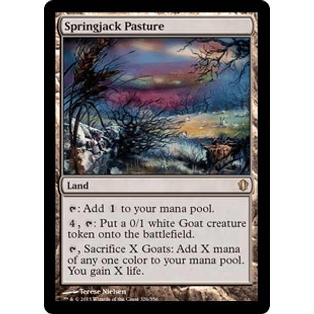 Springjack Pasture - C13 - R