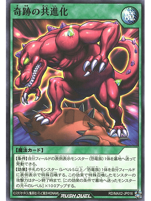 Coevolutionary Miracle - RD/MAX2-JP016 - Common 