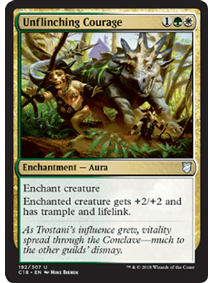 Unflinching Courage - C18 - U