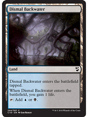Dismal Backwater - C18 - C