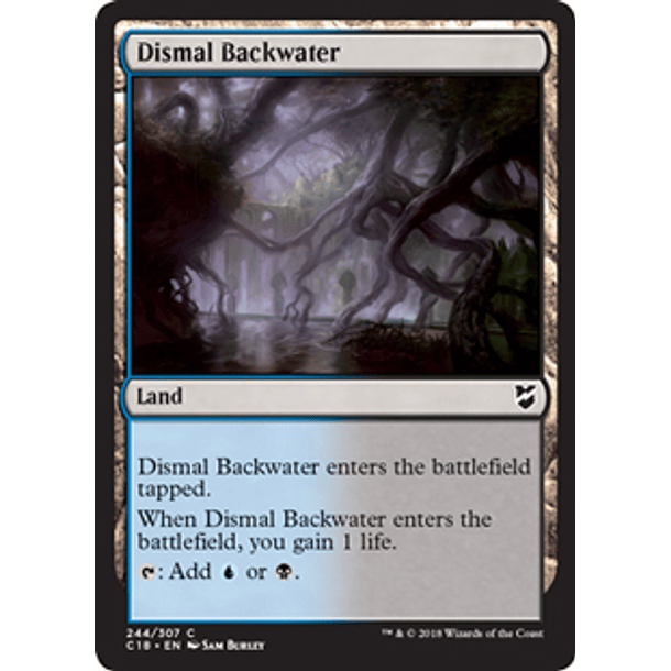 Dismal Backwater - C18 - C