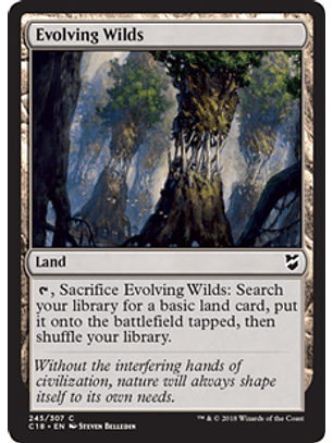 Evolving Wilds - C18 - C