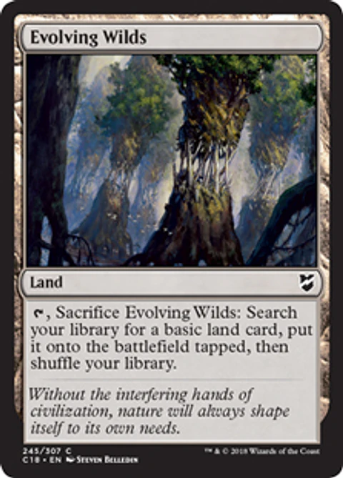 Evolving Wilds - C18 - C