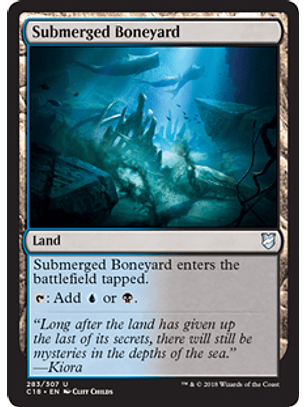 Submerged Boneyard - C18 - U