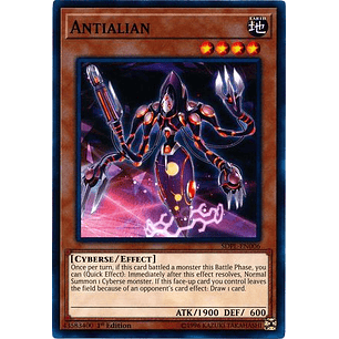 Antialian - SDPL-EN006 - Common