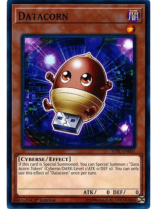 Datacorn - SDPL-EN001 - Common 