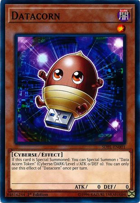Datacorn - SDPL-EN001 - Common 