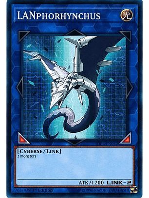 LANphorhynchus - SDPL-EN042 - Common