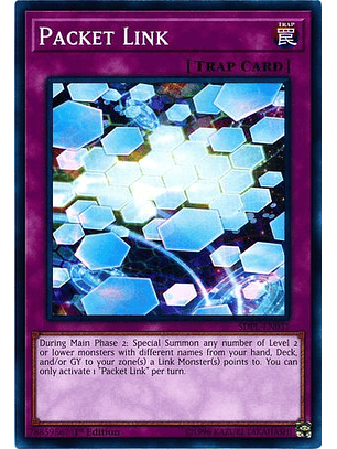 Packet Link - SDPL-EN031 - Common 