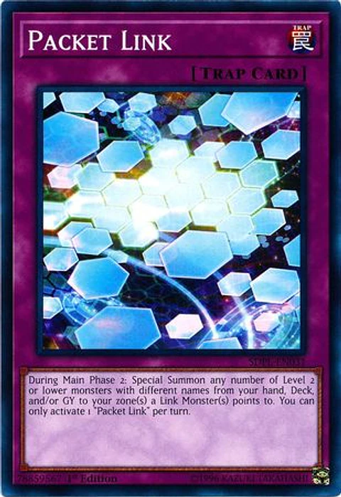 Packet Link - SDPL-EN031 - Common 