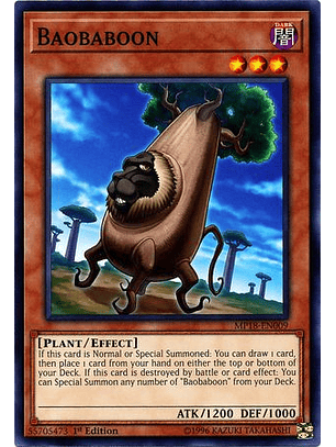 Baobaboon - MP18-EN009 - Common