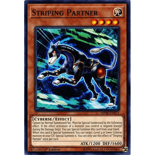 Striping Partner - MP18-EN171 - Common