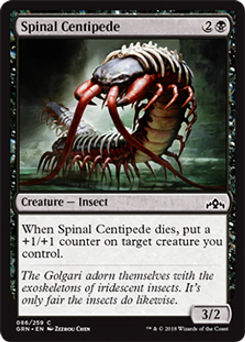 Spinal Centipede - GRN - C