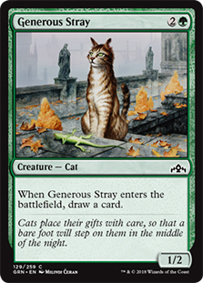 Generous Stray - GRN - C 1