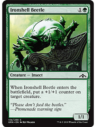 Ironshell Beetle - GRN - C