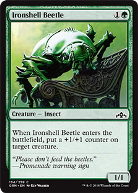 Ironshell Beetle - GRN - C