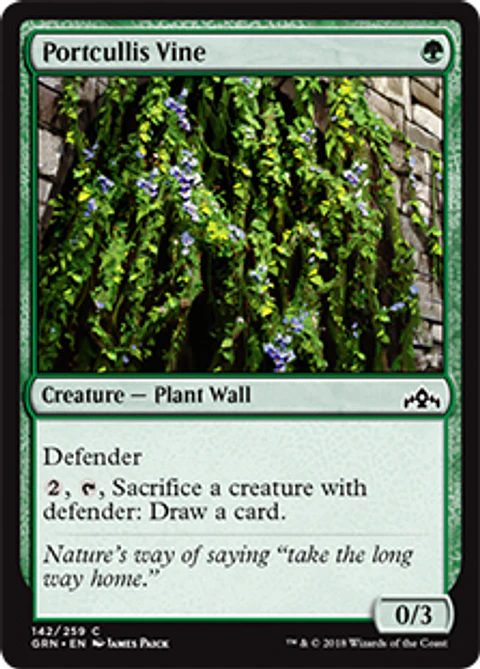 Portcullis Vine - GRN - C