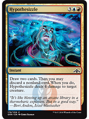 Hypothesizzle - GRN - C