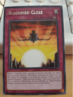 Blackbird Close - LED3-EN027 - Rare