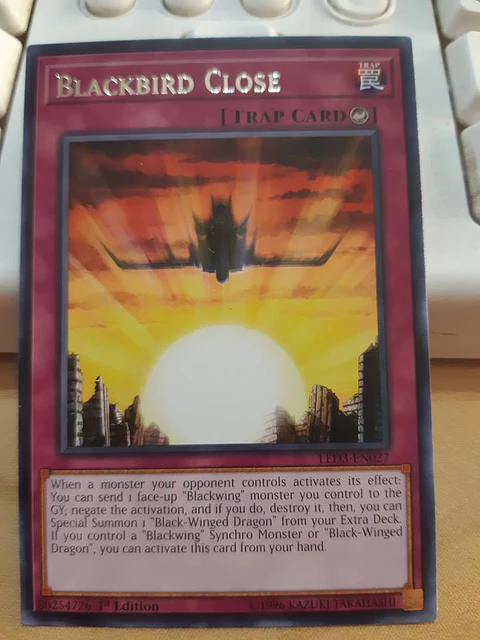 Blackbird Close - LED3-EN027 - Rare