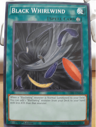 Black Whirlwind - LED3-EN032 - Common