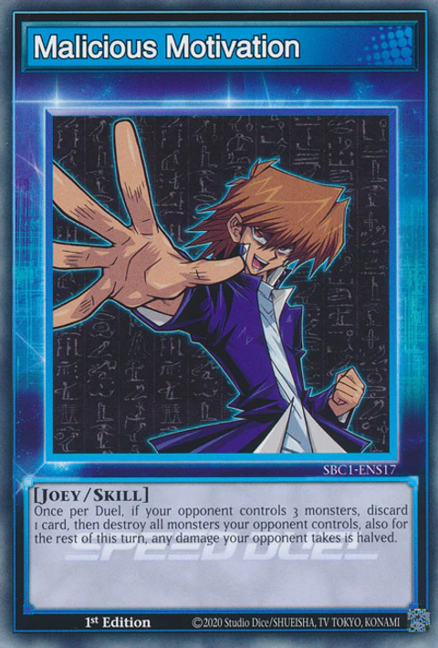 Malicious Motivation - SBC1-ENS17 - Common