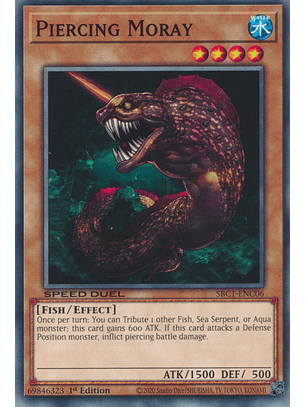 Piercing Moray - SBC1-ENC06 - Common