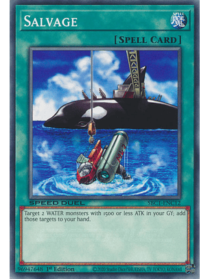 Salvage - SBC1-ENC12 - Common