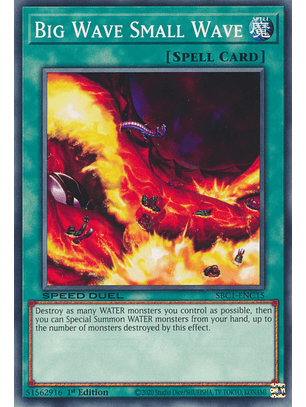 Big Wave Small Wave - SBC1-ENC15 - Common 