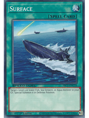 Surface - SBC1-ENC16 - Common