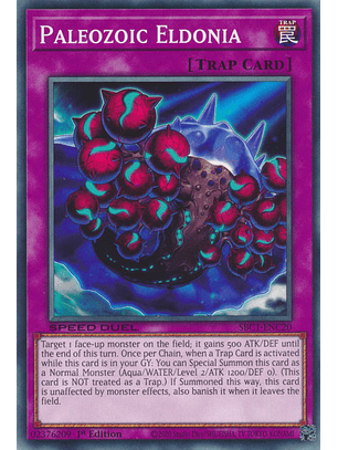 Paleozoic Eldonia - SBC1-ENC20 - Common