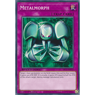 Metalmorph - SBC1-ENF17 - Common