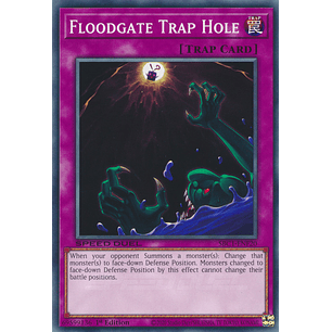 Floodgate Trap Hole - SBC1-ENF20 - Common