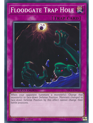 Floodgate Trap Hole - SBC1-ENF20 - Common