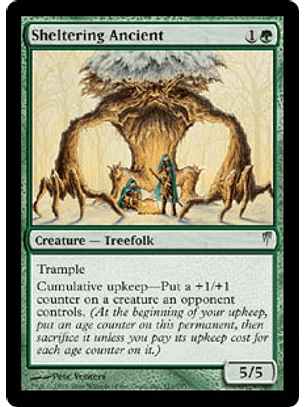 Sheltering Ancient - CLS - U 