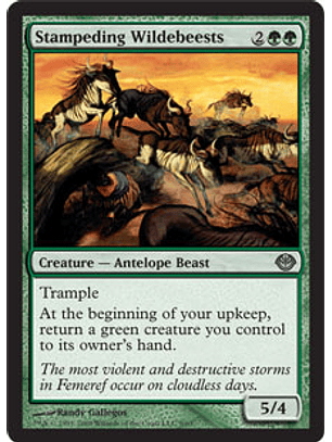 Stampeding Wildebeests - GVL - U 