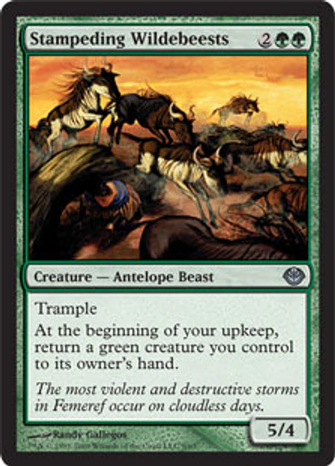 Stampeding Wildebeests - GVL - U 