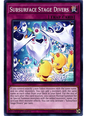 Subsurface Stage Divers - SOFU-EN080 - Common 