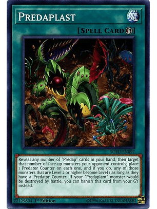 Predaplast - SOFU-EN097 - Common 