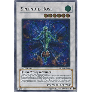 Ultimate Rare - Splendid Rose - TSHD-EN043